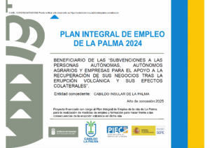 subvención recibida del Cabildo de La Palma